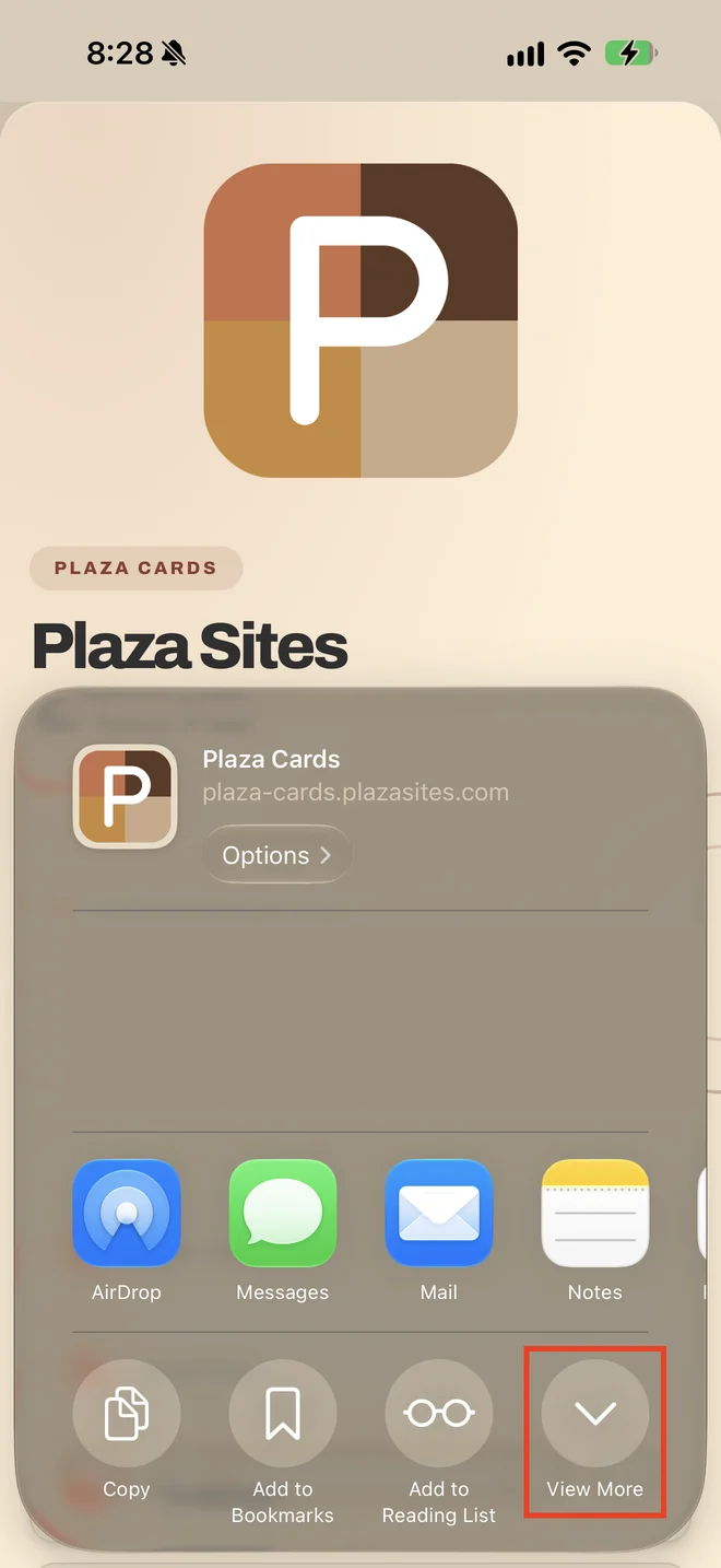 The iOS share sheet, with View More highlighted in the bottom right corner