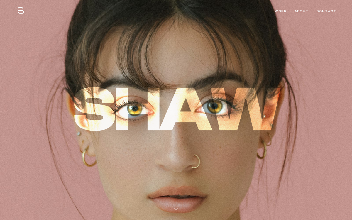 SAMPLE — Shaw Studio